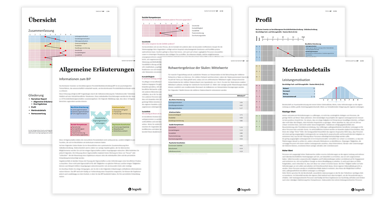 BIP® Bochumer Inventar PDF-Report